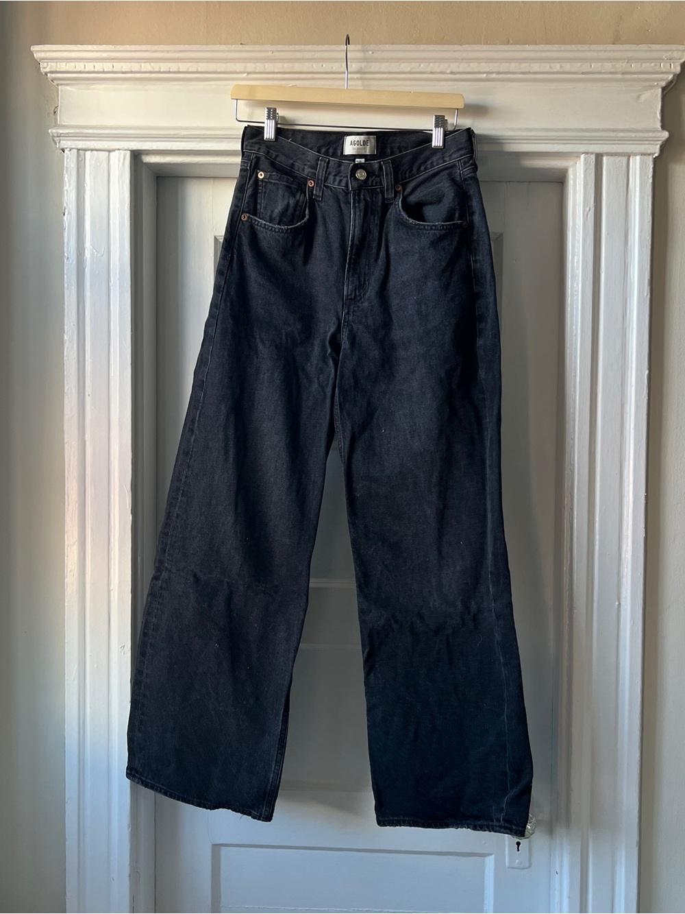 Agolde Low Slung Baggy Jeans